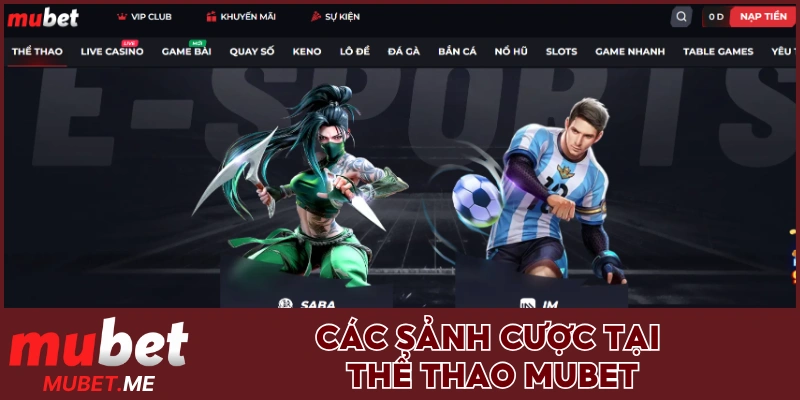 Các sảnh cược tại thể thao MUBET