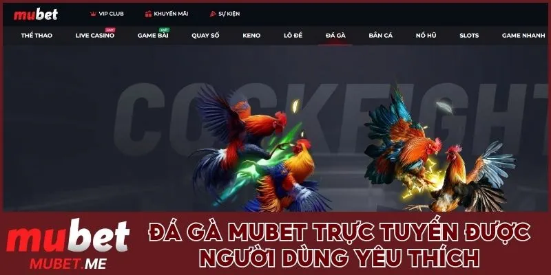 Đá gà Mubet được người dùng yêu thích