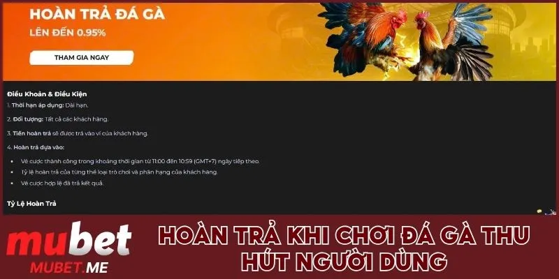 Hoàn trả khi chơi Đá gà thu hút người dùng